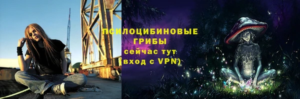 дживик Володарск